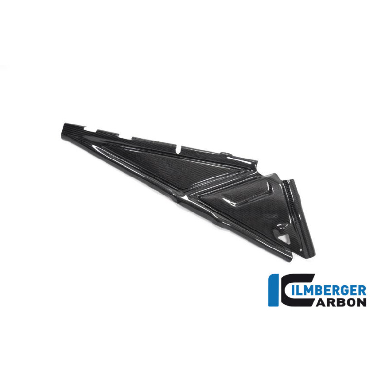 Cache de boucle arrière droit carbone pour BMW R 1250 GS & GSA | Ilmberger Carbon