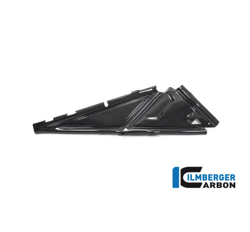 Cache de boucle arrière droit carbone pour R 1250 GS & GSA