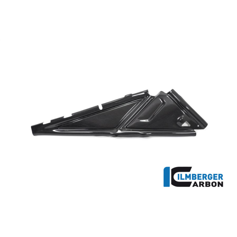 Cache de boucle arrière droit carbone pour R 1250 GS & GSA