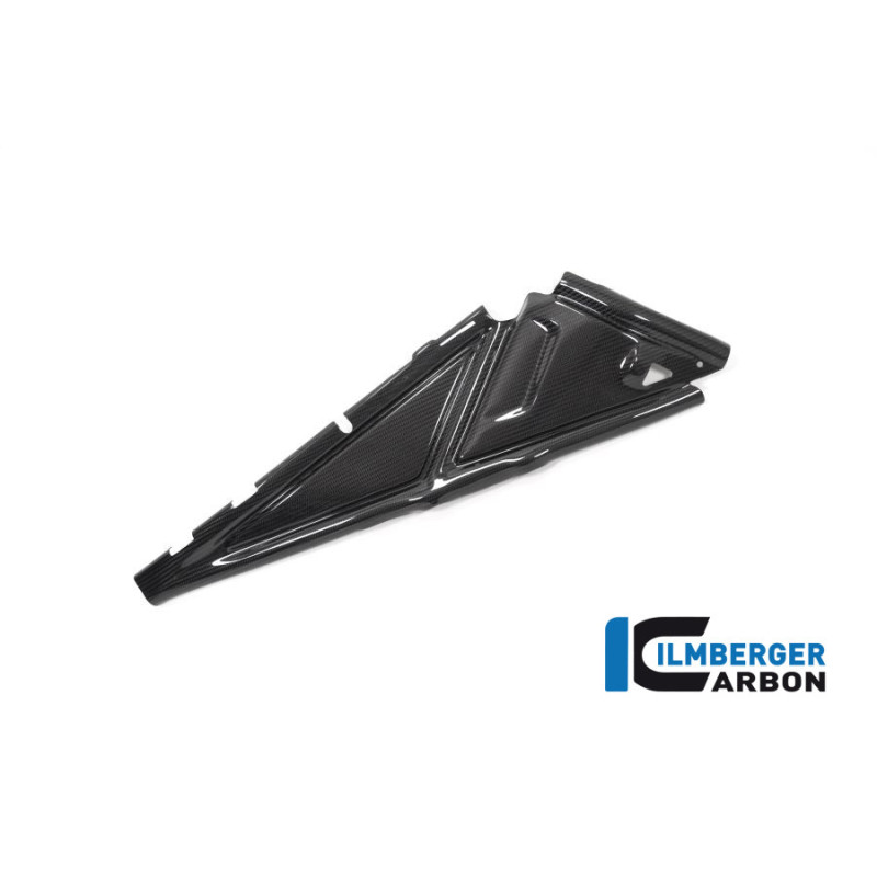 Cache de boucle arrière droit carbone pour BMW R 1250 GS & GSA | Ilmberger Carbon