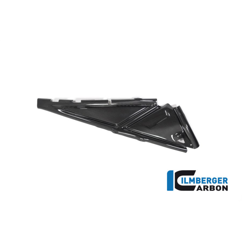 Cache de boucle arrière droit carbone pour BMW R 1250 GS & GSA | Ilmberger Carbon