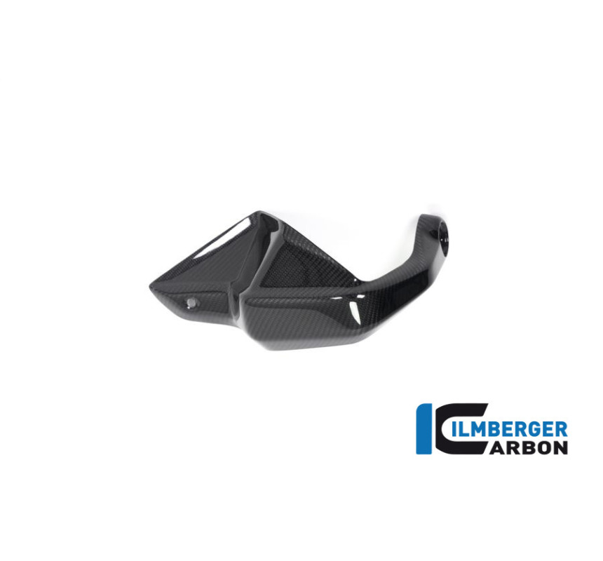 Protège-main gauche carbone pour BMW R 1250 GS & GSA | Ilmberger Carbon