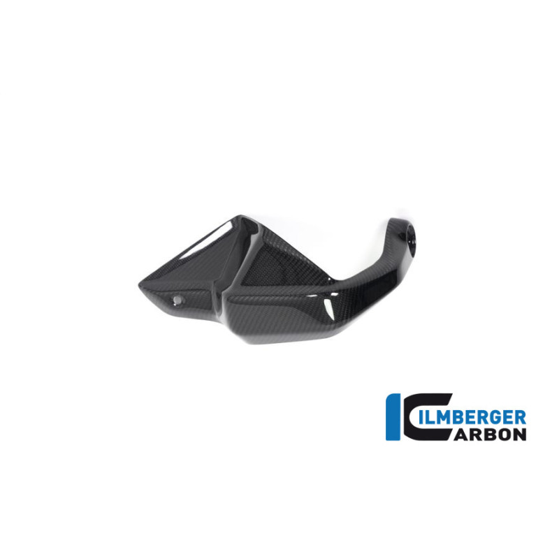 Protège-main gauche carbone pour BMW R 1250 GS & GSA | Ilmberger Carbon