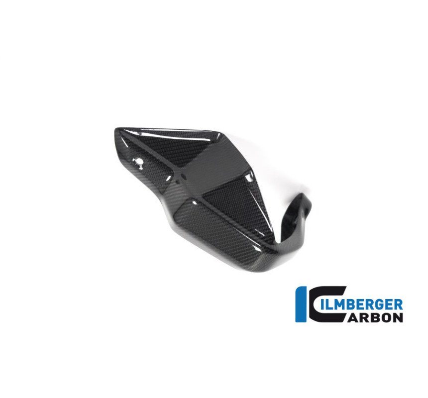 Protège-main gauche carbone pour R 1250 GS & GSA