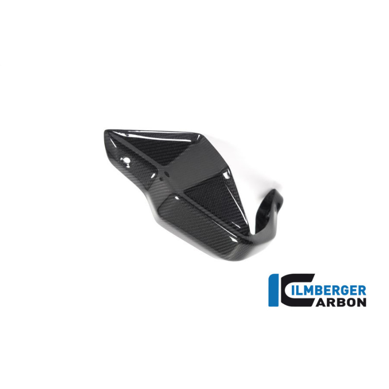 Protège-main gauche carbone pour R 1250 GS & GSA