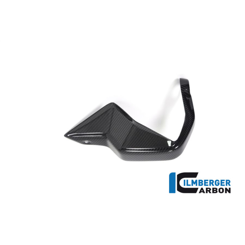 Protège-main gauche carbone pour BMW R 1250 GS & GSA | Ilmberger Carbon