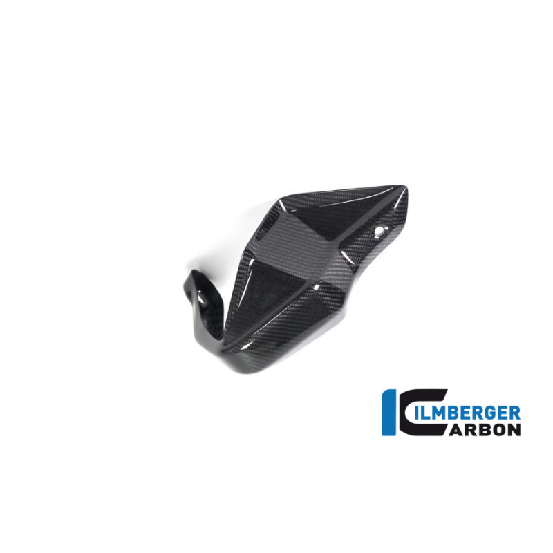 Protège-main droit carbone pour BMW R 1250 GS & GSA | Ilmberger Carbon