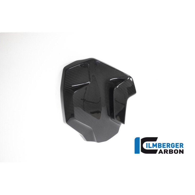 Habillage de radiateur gauche carbone pour BMW R 1250 GS Adventure | Ilmberger Carbon