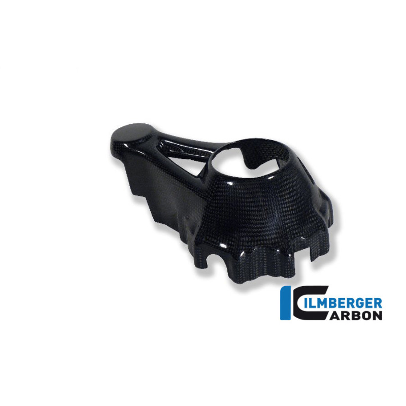 Cache de carter de cardan carbone pour R 1200 GS & GSA
