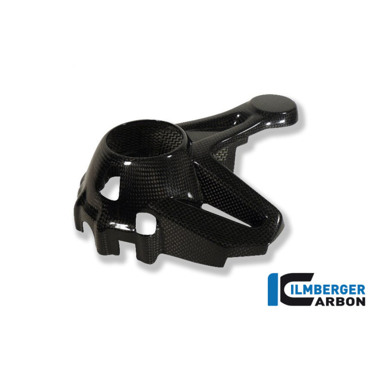 Cache de carter de cardan carbone pour BMW R 1200 GS & GSA | Ilmberger Carbon
