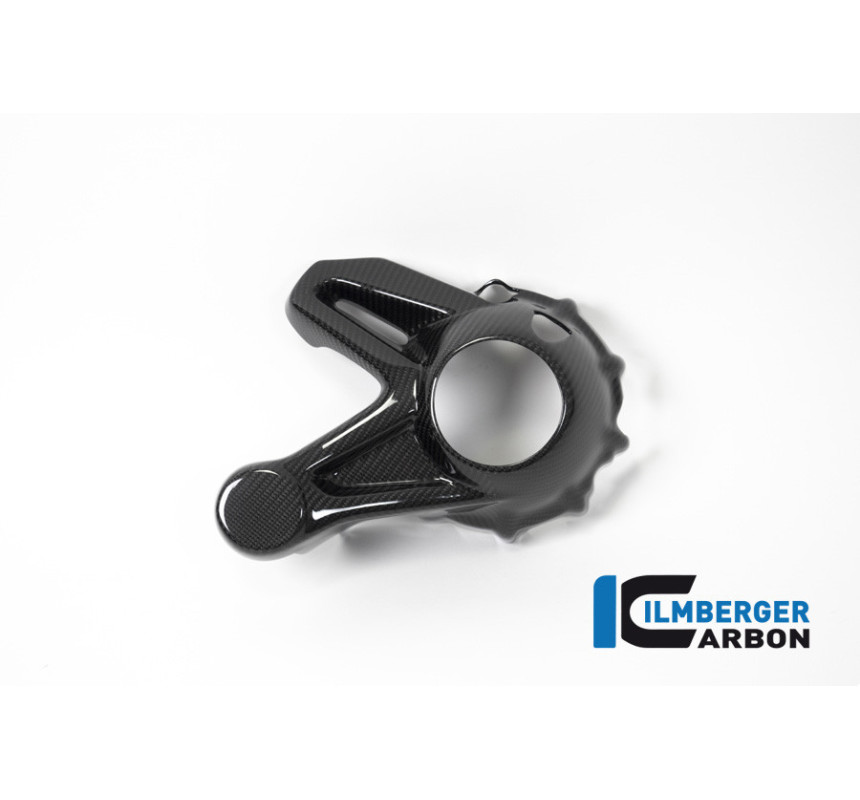 Cache de carter de cardan carbone pour R 1250 GS & GSA