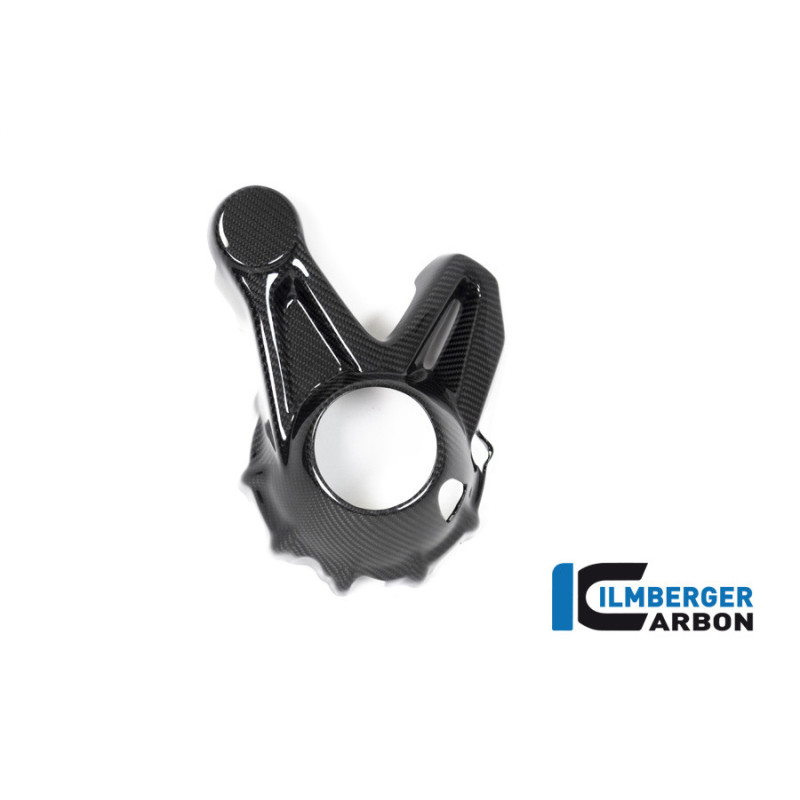 Cache de carter de cardan carbone pour BMW R 1250 GS & GSA | Ilmberger Carbon