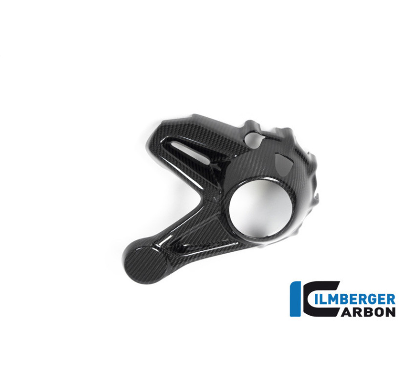 Cache de carter de cardan carbone pour BMW R 1250 GS & GSA | Ilmberger Carbon
