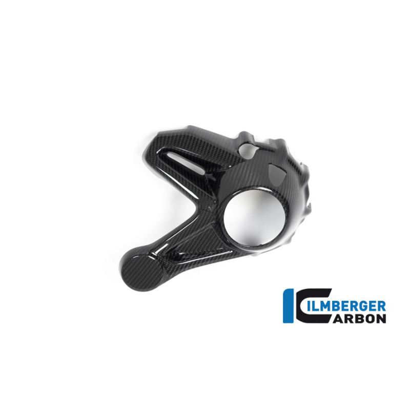 Cache de carter de cardan carbone pour BMW R 1250 GS & GSA | Ilmberger Carbon