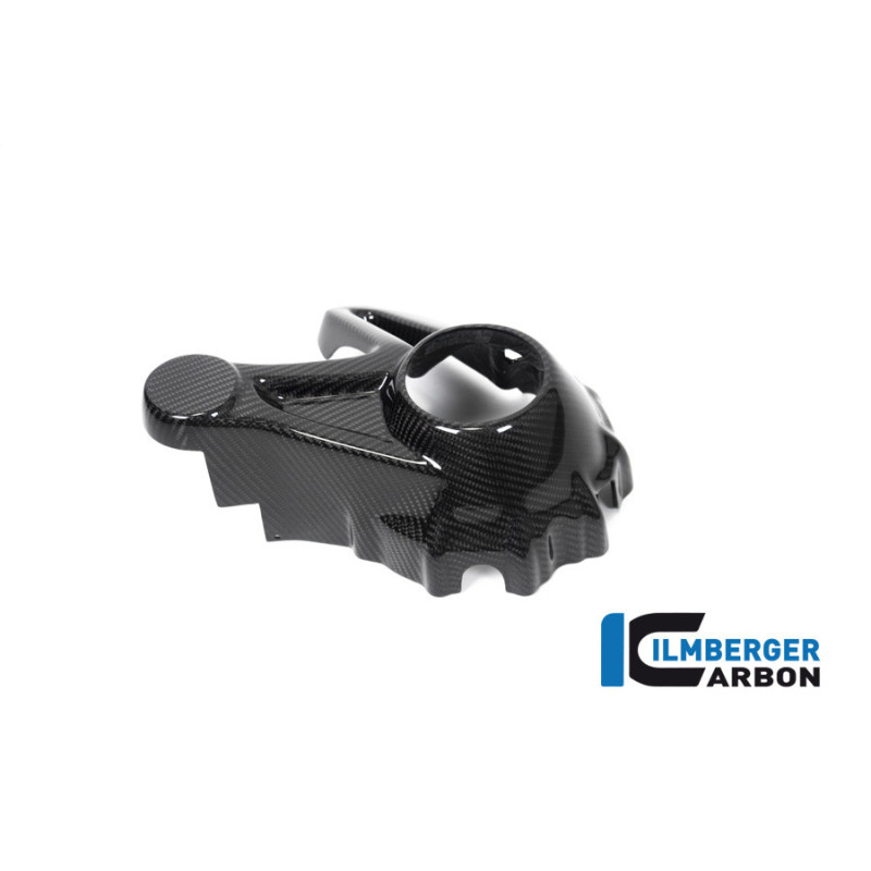 Cache de carter de cardan carbone pour BMW R 1250 GS & GSA | Ilmberger Carbon