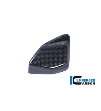 Cache de boîtier ESA carbone pour BMW R 1200 GS | Ilmberger Carbon