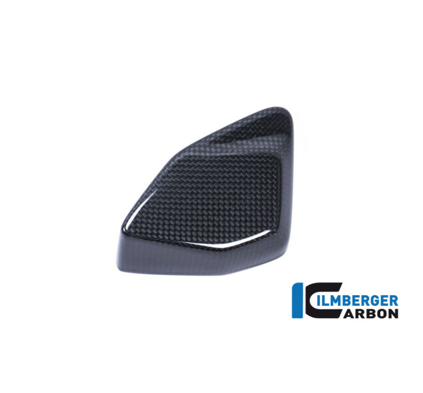 Cache de boîtier ESA carbone pour BMW R 1200 GS | Ilmberger Carbon