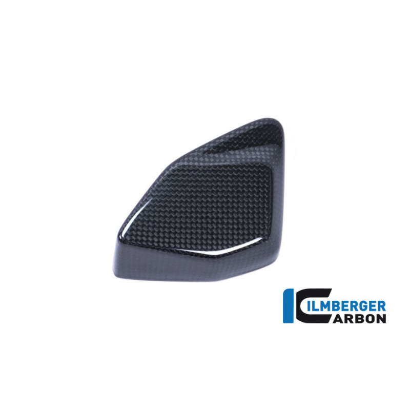 Cache de boîtier ESA carbone pour BMW R 1200 GS | Ilmberger Carbon