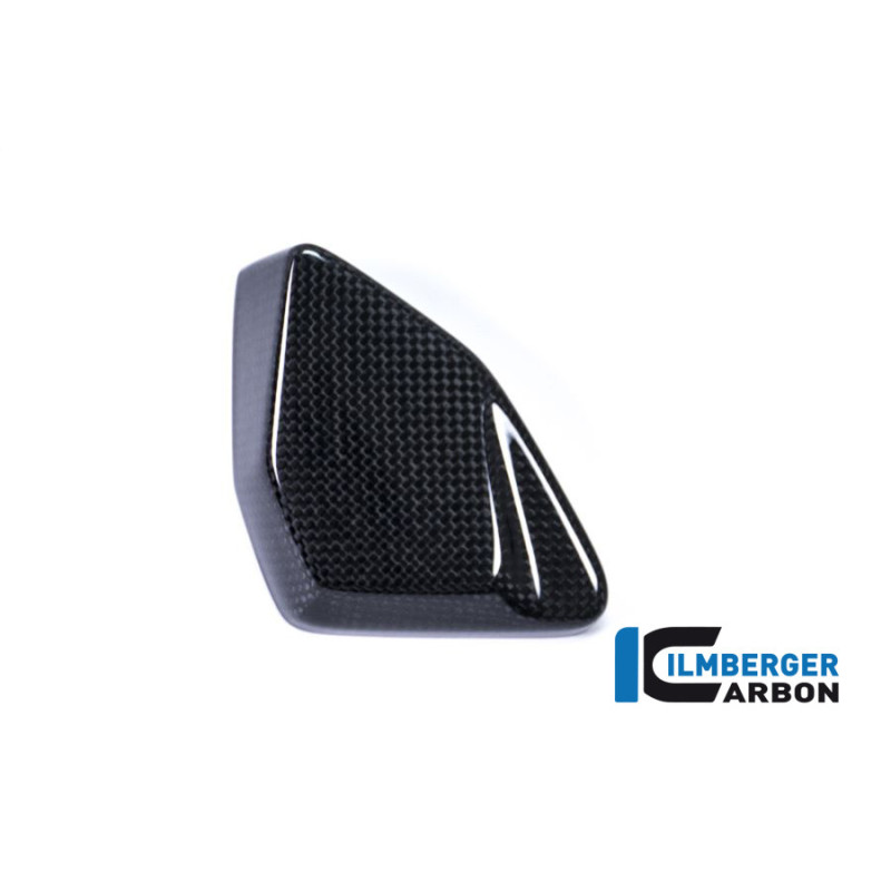 Cache de boîtier ESA carbone pour BMW R 1200 GS | Ilmberger Carbon