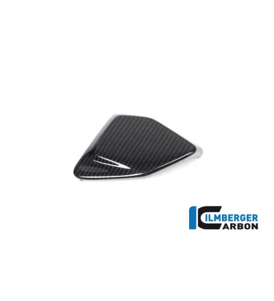 Cache de boîtier ESA carbone pour BMW R 1250 GS & GSA | Ilmberger Carbon