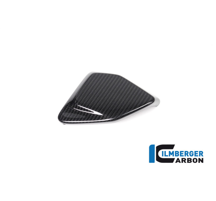 Cache de boîtier ESA carbone pour BMW R 1250 GS & GSA | Ilmberger Carbon