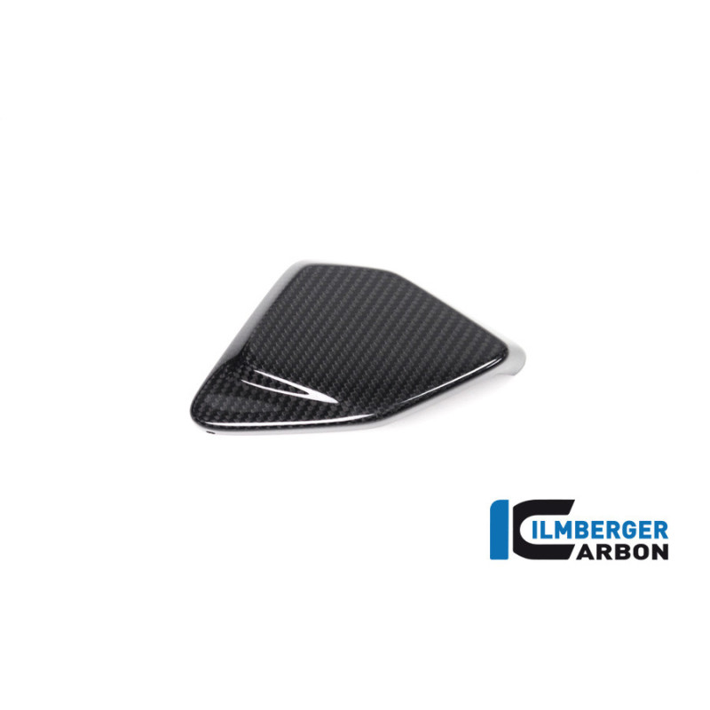 Cache de boîtier ESA carbone pour BMW R 1250 GS & GSA | Ilmberger Carbon