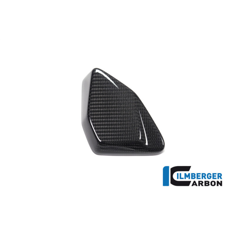 Cache de boîtier ESA carbone pour BMW R 1250 GS & GSA | Ilmberger Carbon