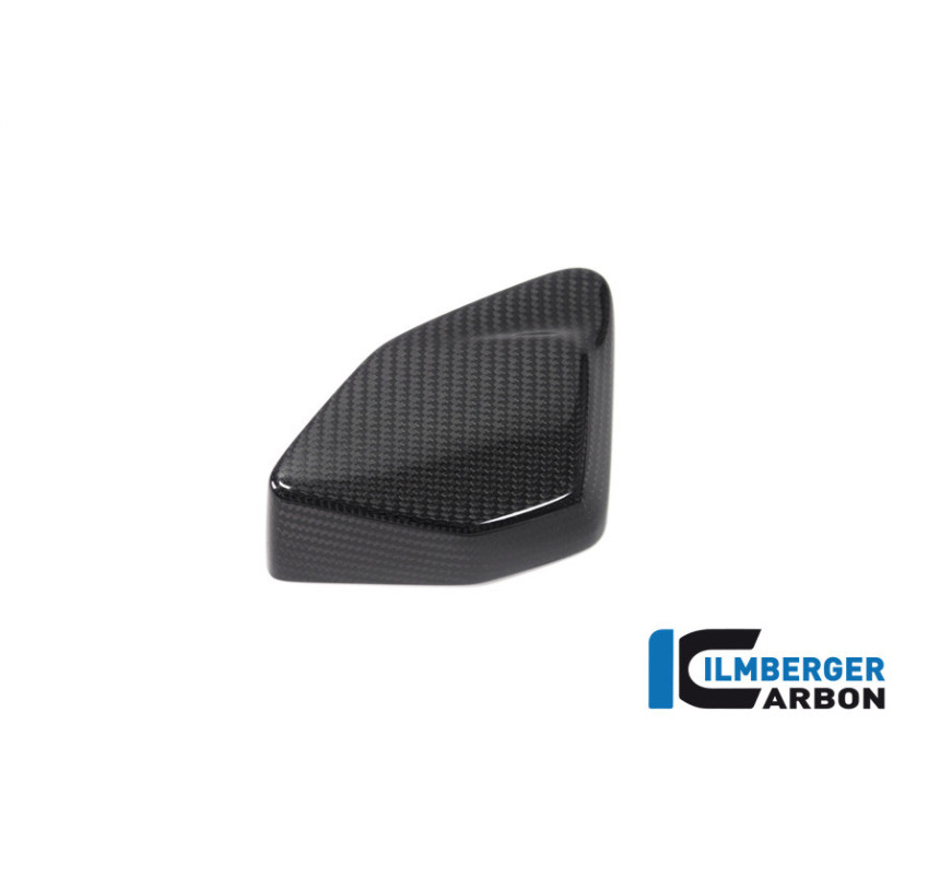 Cache de boîtier ESA carbone pour R 1250 GS & GSA