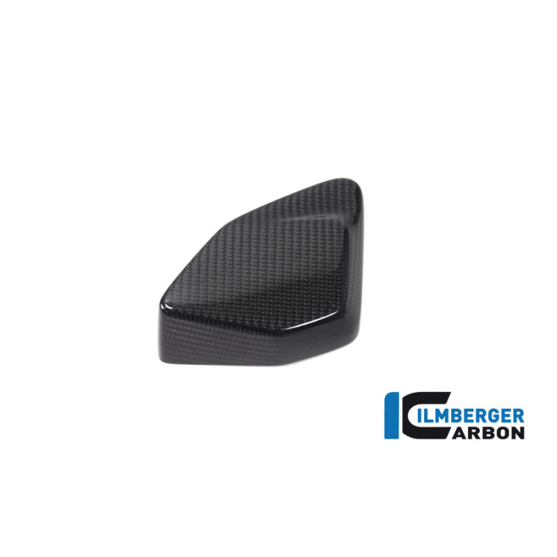 Cache de boîtier ESA carbone pour R 1250 GS & GSA