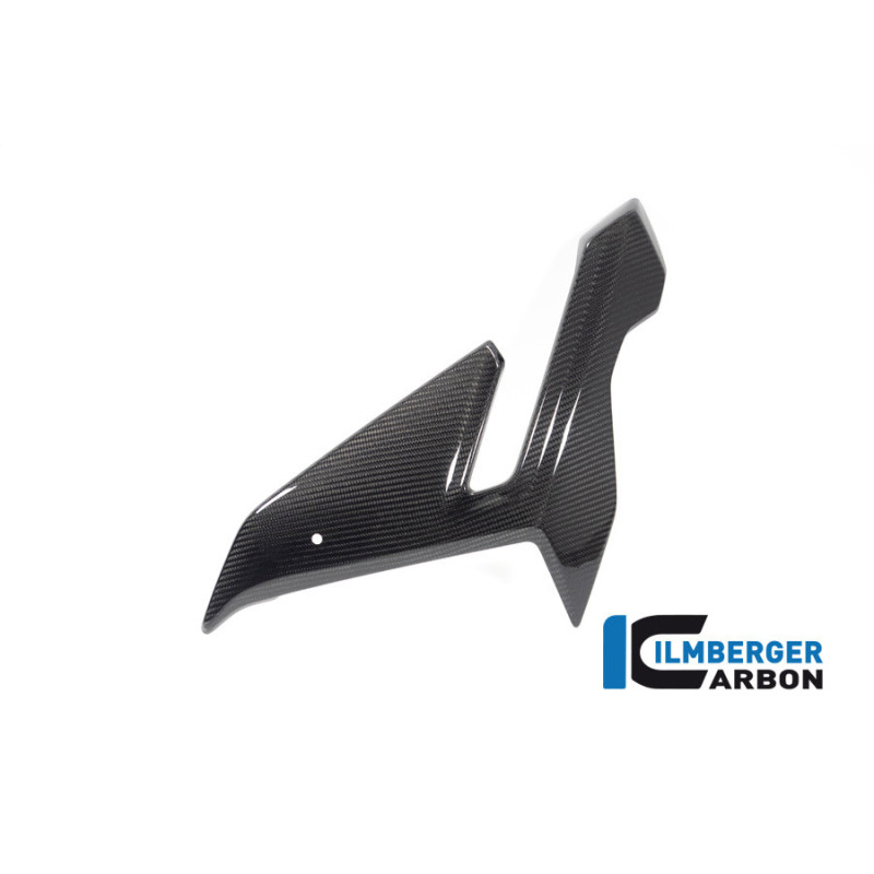 Flanc de carénage gauche carbone pour BMW S 1000 R (E5+) | Ilmberger Carbon