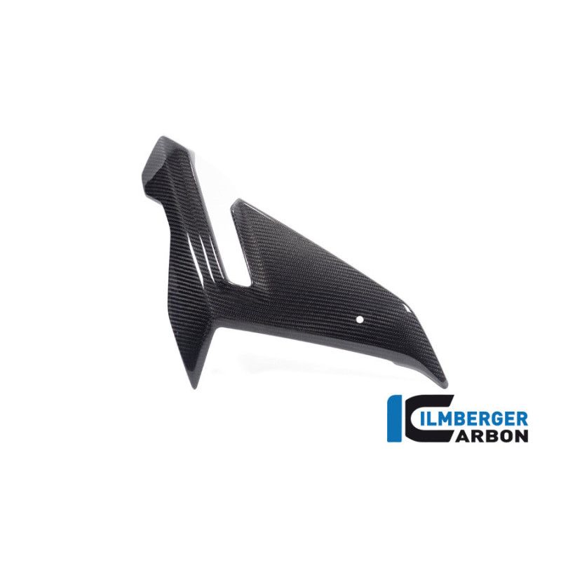 Flanc de carénage droit carbone pour BMW S 1000 R (E5+) | Ilmberger Carbon
