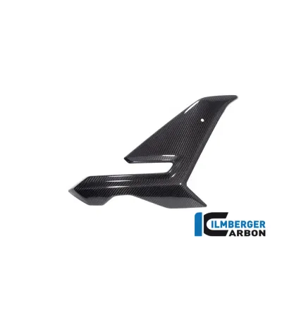 Flanc de carénage droit carbone pour BMW S 1000 R (E5+) | Ilmberger Carbon