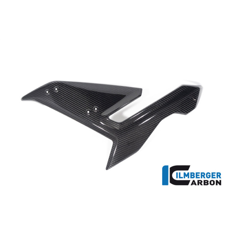 Flanc de carénage gauche carbone pour BMW S 1000 R (E5) | Ilmberger Carbon