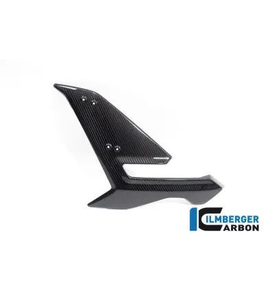 Flanc de carénage gauche carbone pour BMW S 1000 R (E5) | Ilmberger Carbon