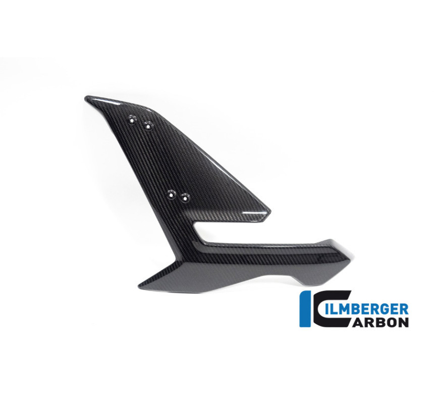 Flanc de carénage gauche carbone pour BMW S 1000 R (E5) | Ilmberger Carbon