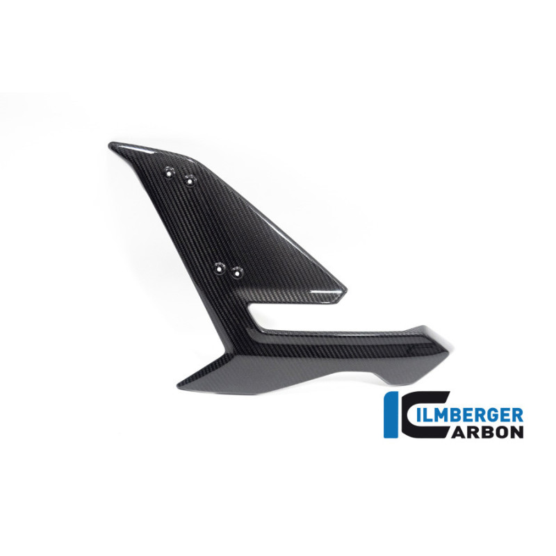 Flanc de carénage gauche carbone pour BMW S 1000 R (E5) | Ilmberger Carbon