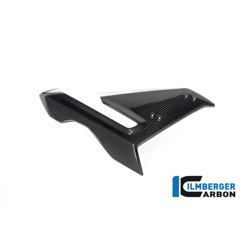 Flanc de carénage droit carbone pour BMW S 1000 R (E5) | Ilmberger Carbon