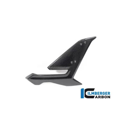 Flanc de carénage droit carbone pour BMW S 1000 R (E5) | Ilmberger Carbon