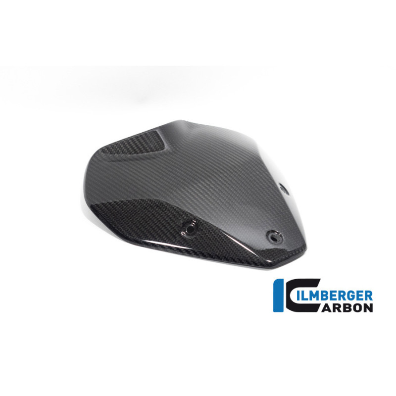 Saute-vent carbone pour BMW S 1000 R | Ilmberger Carbon