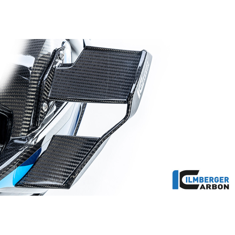 Winglet de carénage gauche carbone pour S 1000 R & M 1000 R (E5+)