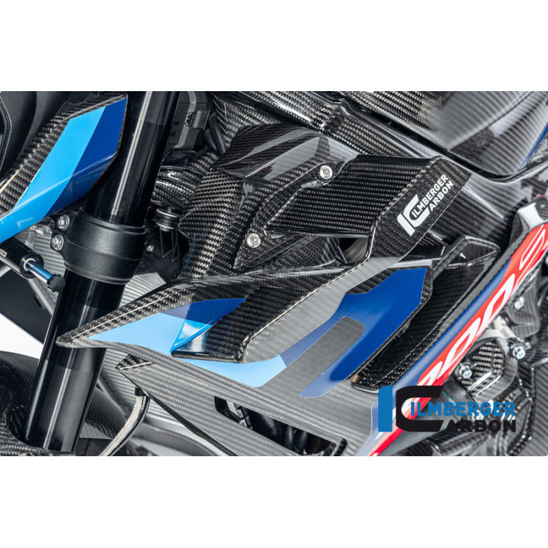 Winglet de carénage gauche carbone pour BMW S 1000 R (E5+) | Ilmberger Carbon
