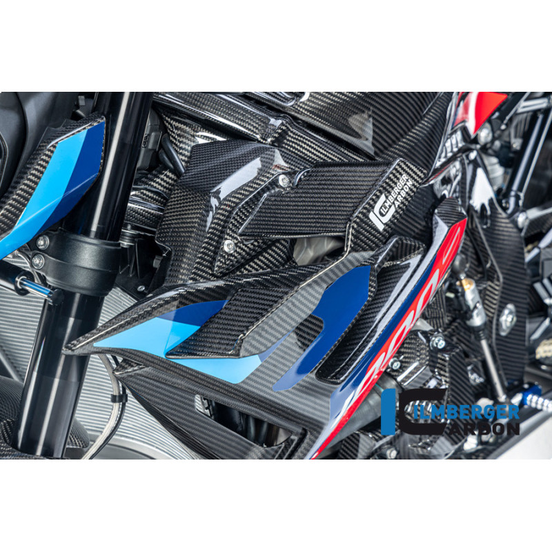 Winglet de carénage gauche carbone pour BMW S 1000 R (E5+) | Ilmberger Carbon