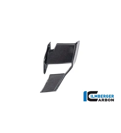 Winglet de carénage gauche carbone pour BMW S 1000 R (E5+) | Ilmberger Carbon
