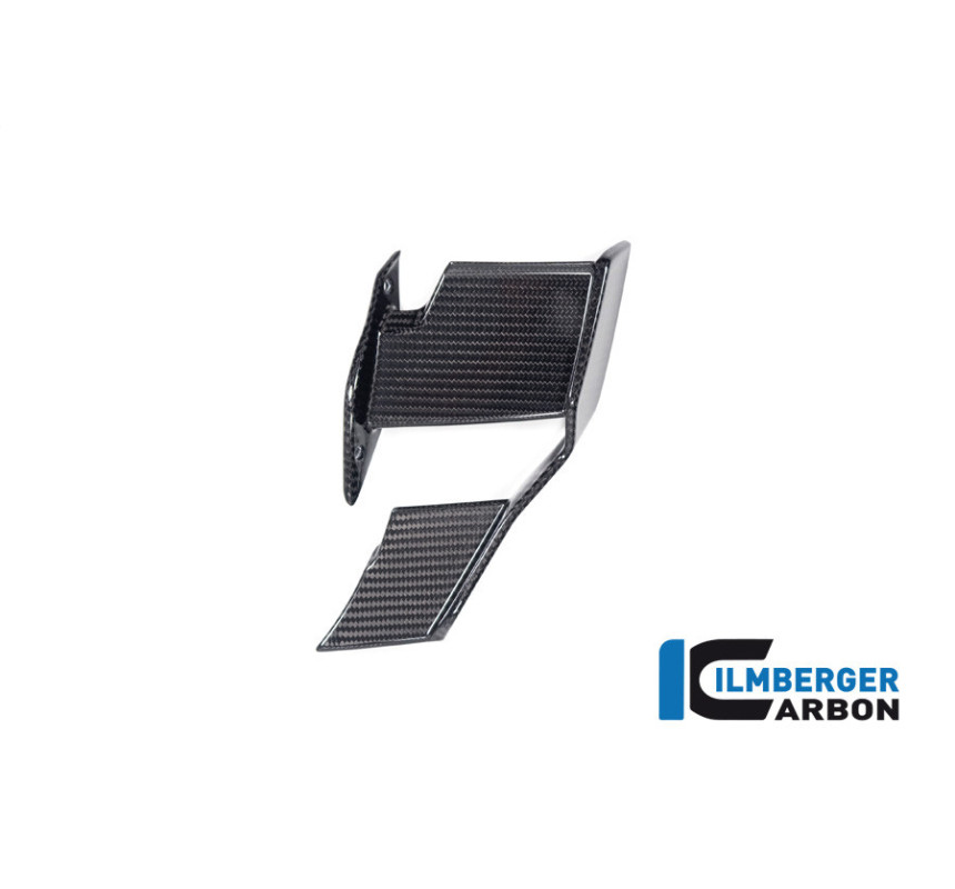 Winglet de carénage gauche carbone pour BMW S 1000 R (E5+) | Ilmberger Carbon