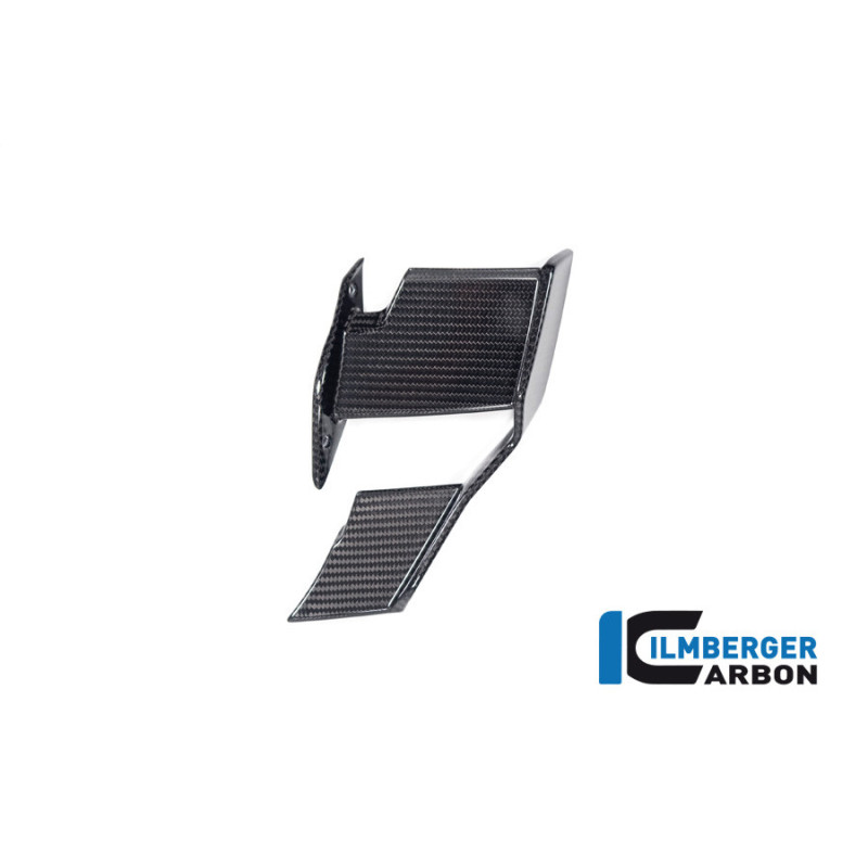 Winglet de carénage gauche carbone pour BMW S 1000 R (E5+) | Ilmberger Carbon