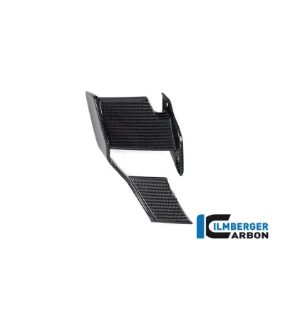 Winglet de carénage droit carbone pour BMW S 1000 R (E5+) | Ilmberger Carbon