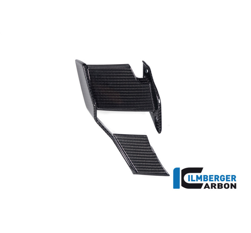Winglet de carénage droit carbone pour BMW S 1000 R (E5+) | Ilmberger Carbon