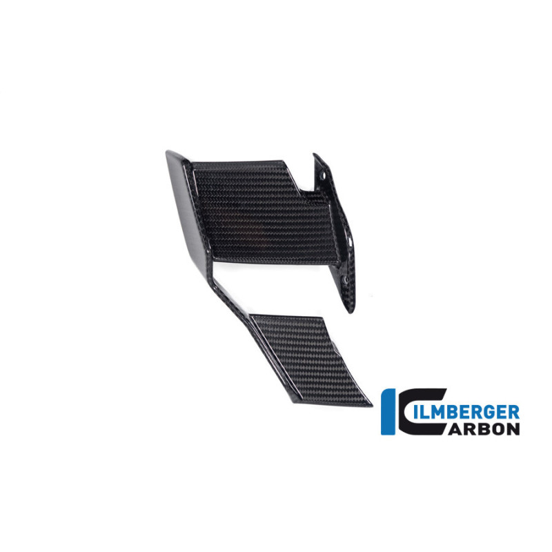 Winglet de carénage droit carbone pour BMW S 1000 R (E5+) | Ilmberger Carbon