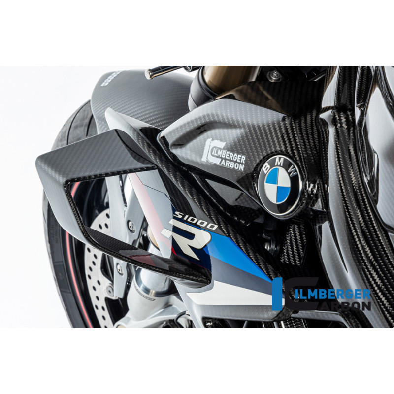 Winglet de carénage gauche carbone pour BMW S 1000 R (E5) | Ilmberger Carbon