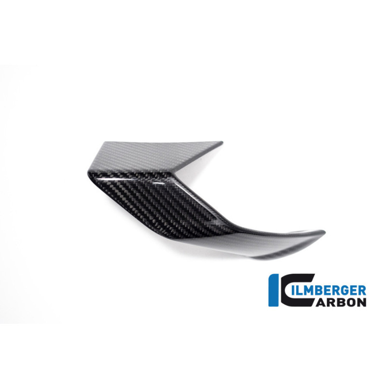 Winglet de carénage gauche carbone pour BMW S 1000 R (E5) | Ilmberger Carbon